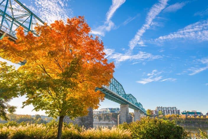 Chattanooga, Tennessee, a fall bucket list destination, during fall season at Walnut Street Bridge with a tree with green, orange, and red leaves, green bushes and grass in the foreground, a dark river in the midground, and tall buildings in the background with blue skies.
