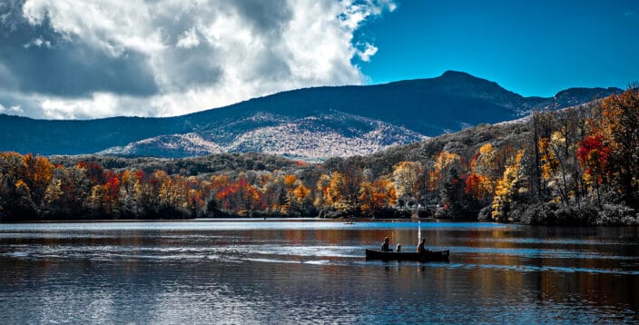 fall foliage with a back drop of mountains