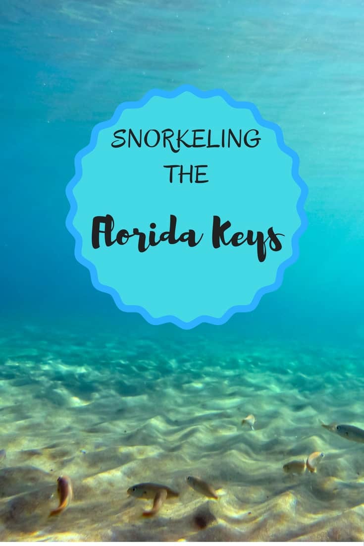 Snorkeling Dry Rocks Florida Keys