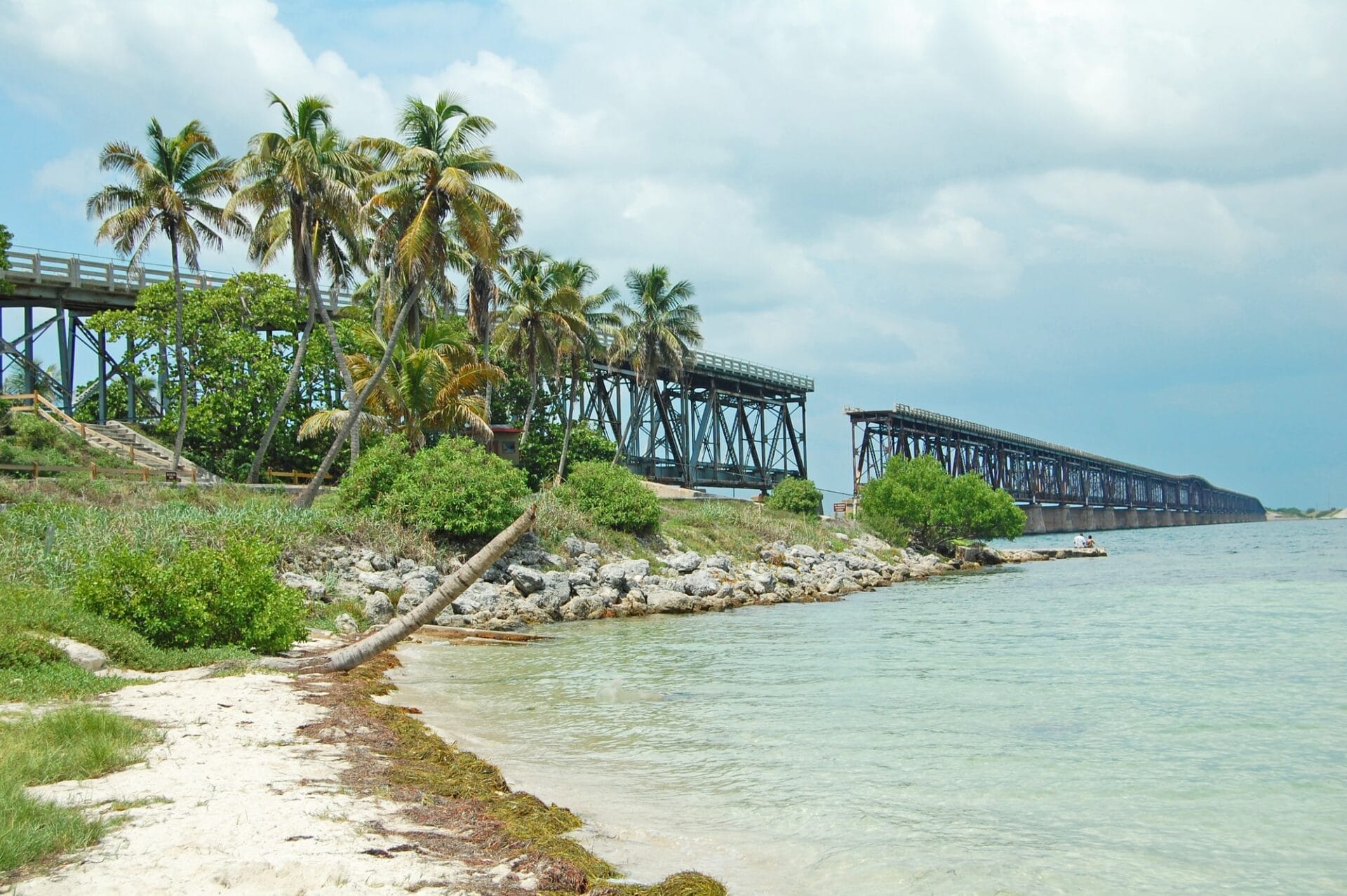 broken bridge surrounded by scrub palm trees and bordered by sand and ocean