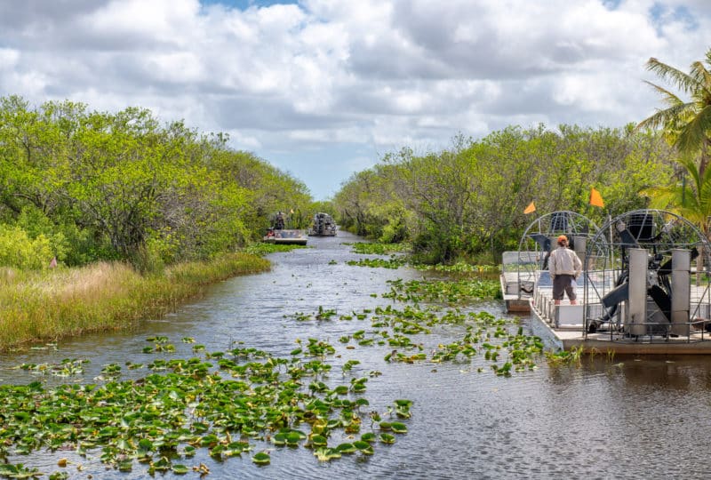 The Everglades with airboats filled with water lilies during a romantic Miami getaway