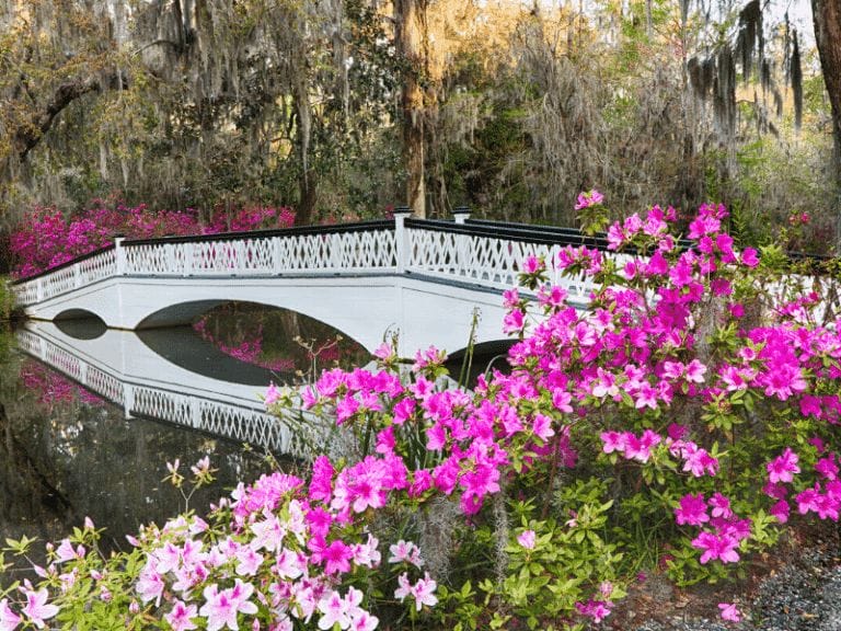The Best Anniversary Vacations in the South for Couples