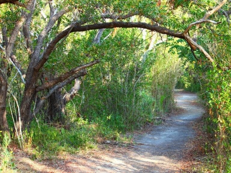 The Best Places For Hiking in Florida