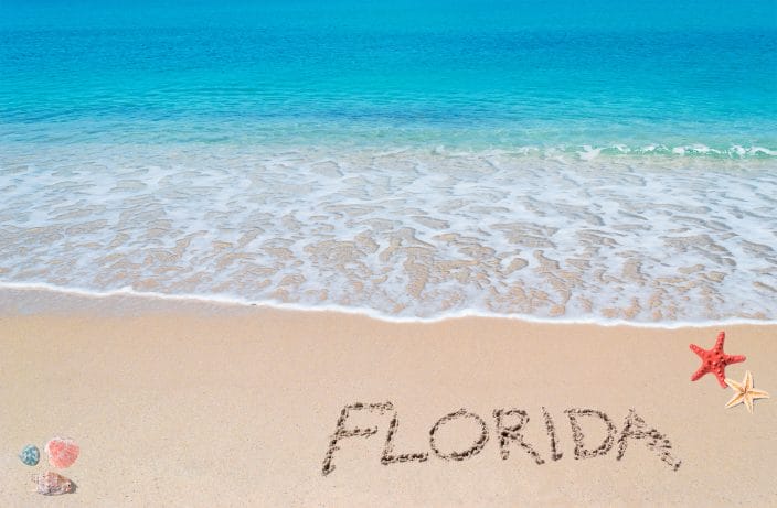 A photo to represent Florida Travel, turquoise water and golden sand with shells and sea stars and 