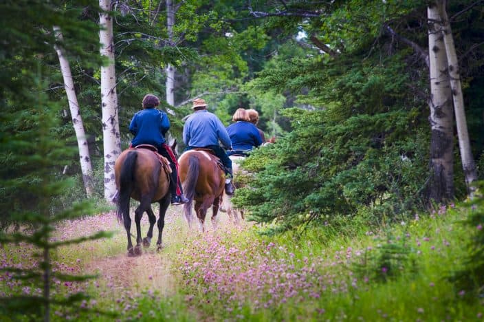 4 people in blue horseback riding brown horses in Kentucky in the forest with green trees, grass, and purple wildflowers, an example of an adventure vacation 