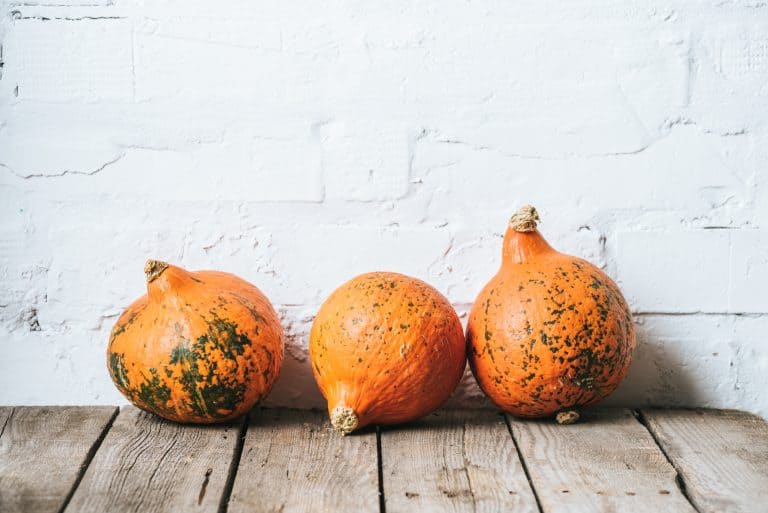 Pumpkin Healthy Recipes Tips And Tricks