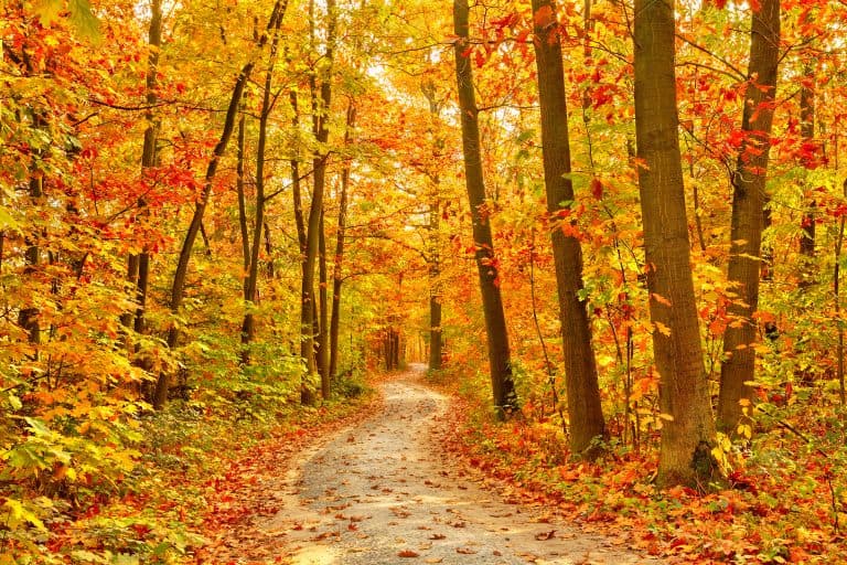 10 Things To Do In Fall