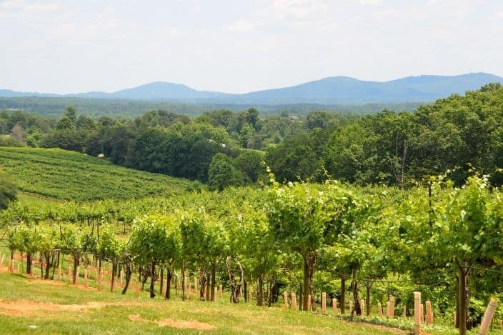 5 Wineries in North Georgia to Visit in the Fall