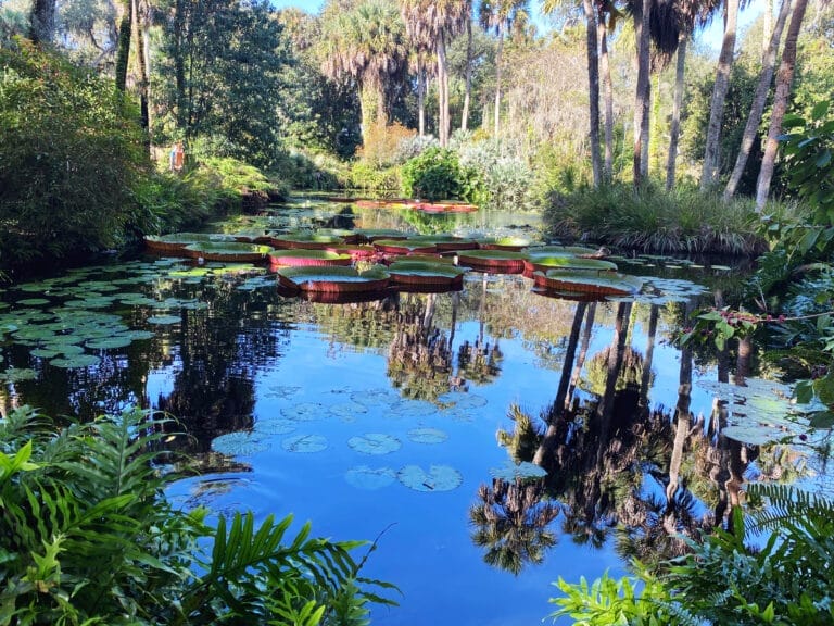 16 Reasons To Put Kissimmee, Florida on Your Vacation List