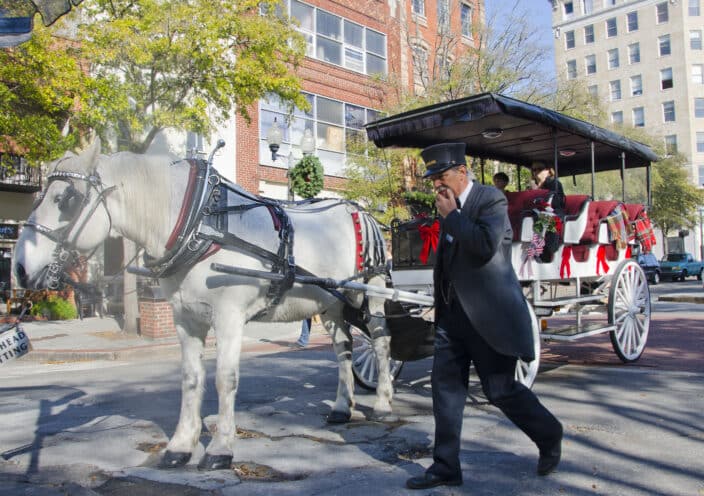 Horse and carriage with Horsedrawn Carriage and Trolley Tours. One of the best things to do in Wilmington, NC on vacation
