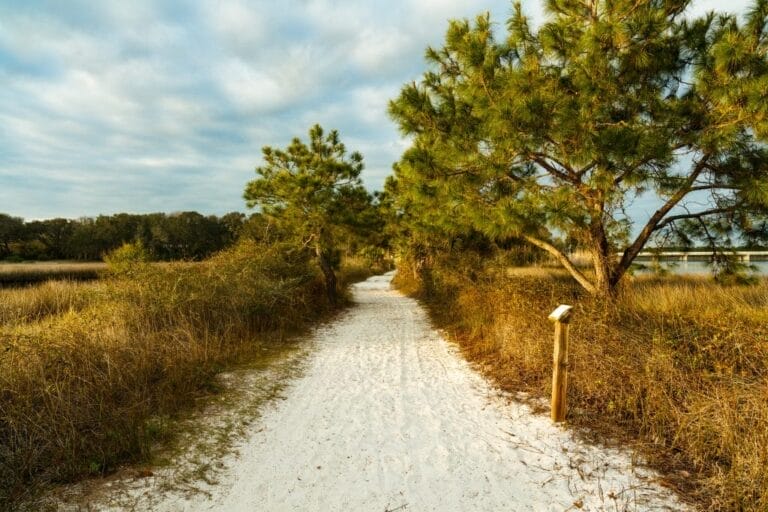 The Best Places For Hiking In Florida